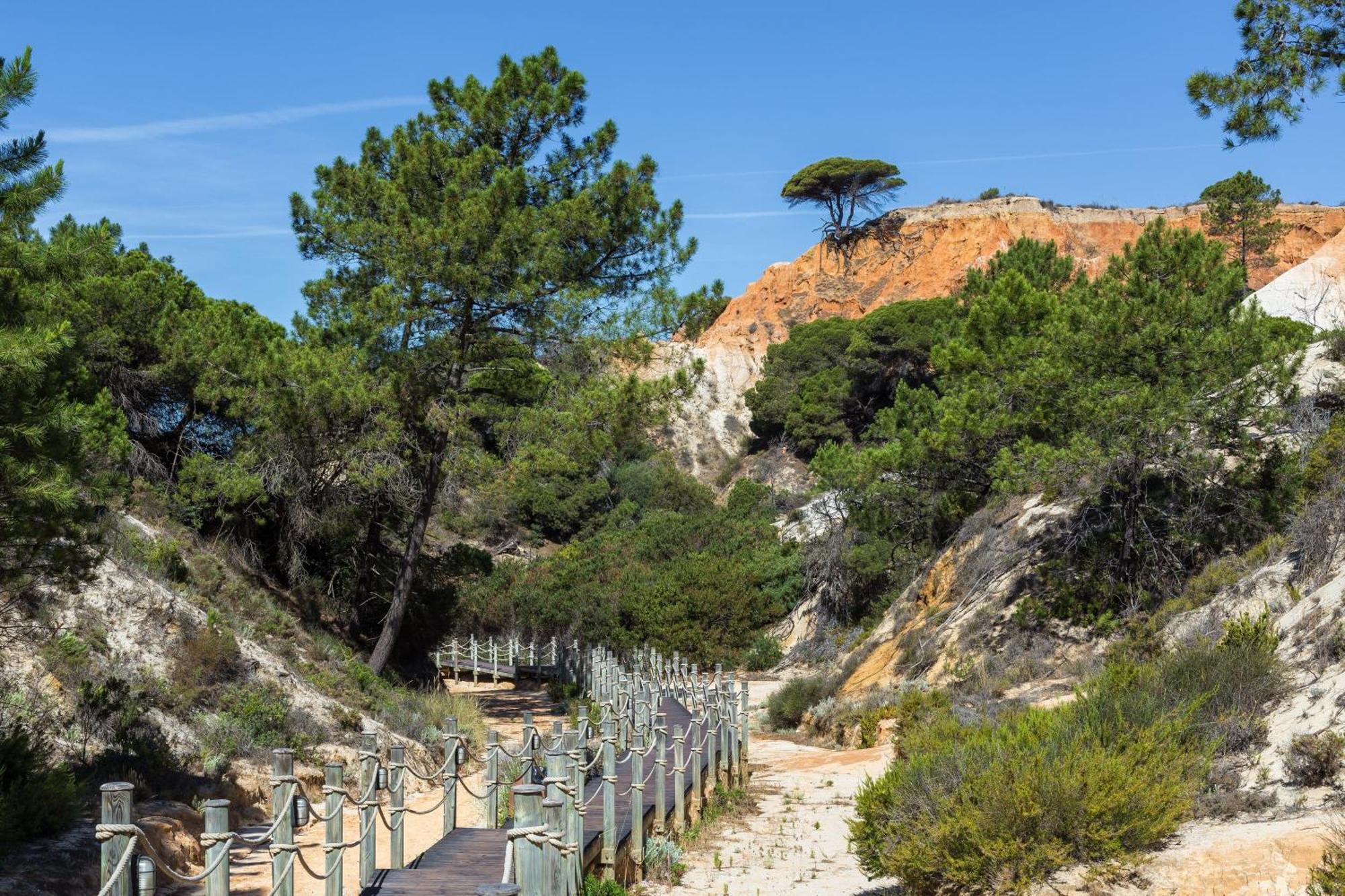 Pine Cliffs Residence, A Luxury Collection Resort, Algarve Albufeira Bagian luar foto